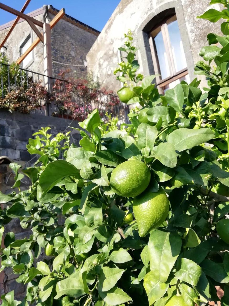 La Pietra Antica O' Munti Villa Mascali Eksteriør bilde